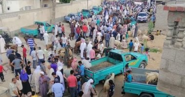 محافظ أسوان: توقيع غرامة مالية فى حالة ذبح الأضاحى بالطرق والشوارع