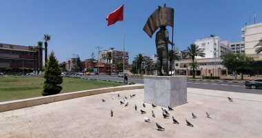 فى مشهد أوروبى بديع.. مئات الحمام يتجمع فى ميدان الشهداء ببورسعيد "ألبوم صور"