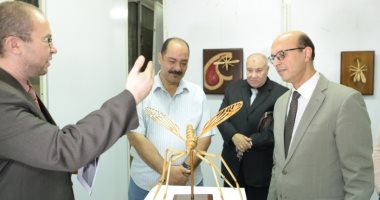 "البعوضة فما فوقها".. معرض فنى بكلية التربية النوعية جامعة أسيوط