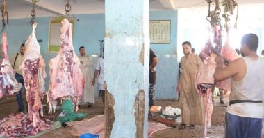 بيطرى الأقصر يستعد لعيد الأضحى بتجهيز 5 مجازر حكومية لفتحها مجانا للمواطنين