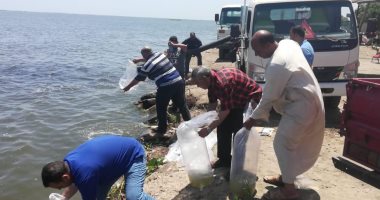 إلقاء 73 مليون وحدة زريعة بالبحيرات المصرية منها 4 ملايين بالبرلس.. صور