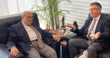 مدير مكتبة الإسكندرية: احتفالية كبرى بذكرى مرور قرنين على اكتشافات "شامبليون"