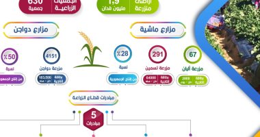 حصاد 7 سنوات من الإنجازات.. زراعة 1.9 مليون فدان بالبحيرة "إنفوجراف"
