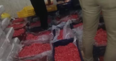 حماية المستهلك بالمنوفية: ضبط لحوم فاسدة داخل مصنع بشبين الكوم