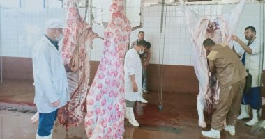 محافظ الغربية: الذبح داخل المجازر بالمجان طوال فترة عيد الأضحى