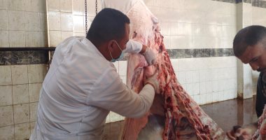 بيطرى الشرقية: 17 مجزر مجهز بفرق بيطرية وفتح أبوابها 6 صباحا لذبح الأضاحى  .. فيديو وصور