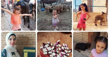 عيد اللحمة ولا العيدية؟.. استعدادات المصريين لعيد الأضحى "خروف وفلوس ولبس جديد"
