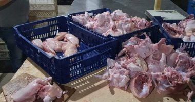 الطب البيطرى: ضبط 33 طنا و 54 كجم لحوم ودواجن غير صالحة للاستهلاك بالجيزة