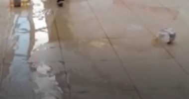 أصحاب المحال التجارية بجنوب أفريقيا يستعينون بـ الزيت لحماية محالهم.. فيديو