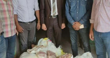 ضبط مجمدات غير صالحة للاستهلاك الآدمى بسوهاج.. صور