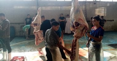 المجازر تستقبل أضاحى العيد لذبحها مجانا.. 20 مجزرا بالغربية تستقبل أضاحى المواطنين والجمعيات.. إعدام 10 عجول مصابة فى دمياط.. والطب البيطرى يناشد بعدم الذبح فى الشوارع.. ومجازر كفر الشيخ تستقبل 530 رأس ماشية