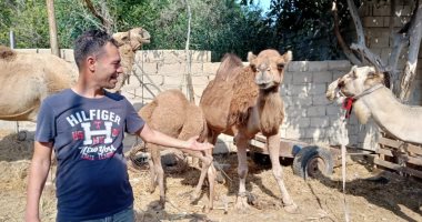 أهالى الخير ينتشرون بمدينة العريش ويوزعون لحوم الأضاحى.. صور