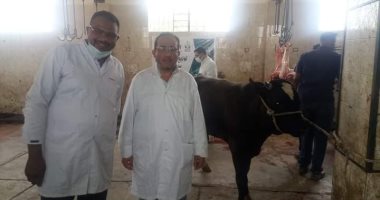 مدير الطب البيطري بالأقصر يتفقد ذبح أضاحى الجمعيات والأهالي في مجازر المحافظة