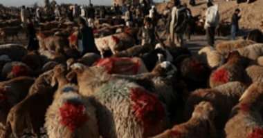 مليونى مسلم يحتفلون فى إسبانيا بعيد الأضحى مع اتخاذ الإجراءات الوقائية  
