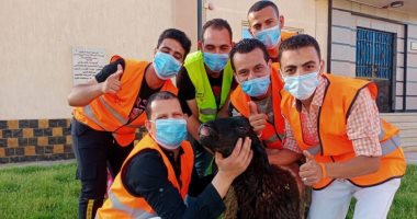 مشاركة المتعافين فى ذبح خروف العيد بمراكز صندوق مكافحة وعلاج الإدمان.. صور 