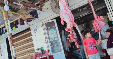 مجازر دمياط تعدم 10 عجول مصابة بالسل وتضخم الطحال وتليف الكبد