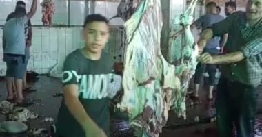 مجازر كفر الشيخ تستقبل الأهالى لذبح أضاحى العيد مجانا.. لايف وصور