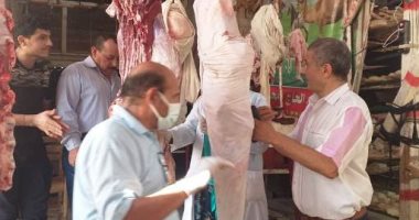 "بيطرى الشرقية" يضبط كميات من اللحوم والكبدة والدجاج الفاسدة بمركز بلبيس