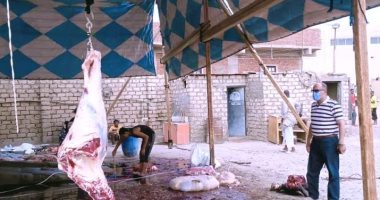 محافظ أسوان يتابع أعمال النظافة والإنارة والحدائق العامة ومنع الذبح بالشوارع