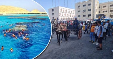 مواطنون يتحدون "الحر" ويواصلون الاحتفال بالعيد..  ركوب الخيول والحنطور فى سوهاج.. إقبال على حديقة الحيوان ببنى سويف.. 3 حدائق بالقناطر الخيرية تدخل الخدمة لأول مرة.. وهروب الأهالى لجزيرة الجفتون بالغردقة