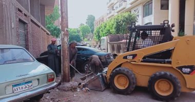 أحياء مدينة الأقصر ترفع 79 طن قمامة من الشوارع بعد إجازة عيد الأضحى.. صور