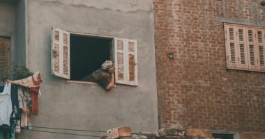 "ميرنا" توثق موهبتها فى التصوير الفوتوغرافى بلقطات من الطبيعة