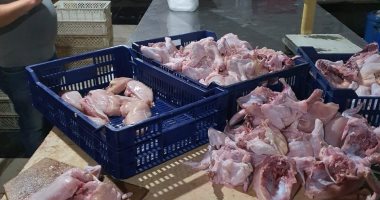 ضبط 26 طن لحوم وأسماك واستقبال 2150 رأس ماشية بمجازر كفر الشيخ