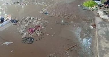 أهالى شبين القناطر بالقليوبية يناشدون حل مشكلة الصرف الصحى.. والمحافظ يرد