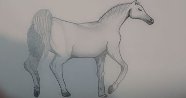 "مروة" تشارك اليوم السابع موهبتها في الرسم بأعمال فنية