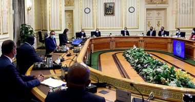 رئيس الوزراء يلتقى الرئيس التنفيذى لمؤسسة التمويل الأفريقية