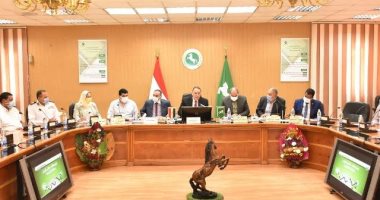 محافظ الشرقية يشدد على سرعة للانتهاء من تنفيذ مشروعات "حياة كريمة"
