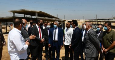 "تنمية الصعيد": ضخ 40 مليون جنيه كمرحلة أولى لتطوير مشروع الدواجن بالفيوم 