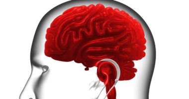 الاكتئاب اضطراب عقلى يؤثر سلبيًا على الكلى والجهاز الهضمى ومشاكل فى الذاكرة