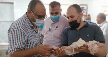 ضبط سلع منتهية الصلاحية بدسوق ومواد تموينية معدة للبيع بالسوق السوداء