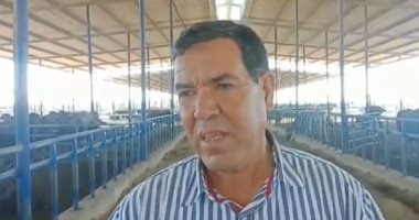 تضم سلالة محسنة.. تعرف على أكبر مزرعة جاموس بالمنيا بمنطقة الـ1.5 مليون فدان.. فيديو