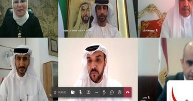 لقاء افتراضى بين وزارتى التعليم العالى والتعليم الإماراتية لجذب الطلاب للدراسة