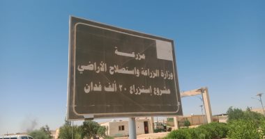 "اليوم السابع" فى أكبر مشروع زراعى بالمنيا.. 20 ألف فدان مزروعة بالبنجر ضمن مشروع 1.5 مليون فدان.. إنتاجية الفدان 25 طنا ونسبة السكر تتجاوز 21%.. ومجلس المحاصيل السكرية: اقتربنا من تحقيق الاكتفاء الذاتى.. صور