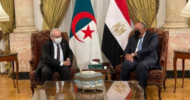 مصر تعزى الجزائر فى ضحايا الحرائق.. وشكرى: نقف معكم فى هذا المُصاب الأليم