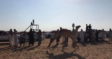 نجاح ثانى مهرجان سباق هجن على الساحل الشمالى.. آلاف من ملاك الهجن ومدربيها من كل المحافظات يحصدون النتائج.. انتعاش حركة بيع الهجن بمطروح.. وأهالى يبدأون التجهيز لخوض منافسات قادمة.. صور