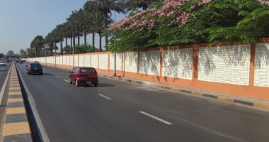 دهان الأسوار وأجسام الكبارى جنوب الجيزة.. صور