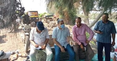 زراعة كفرالشيخ: تنفيذ المدارس الحقلية للنهوض بمحصول الأرز ومحاصيل الصيف.. صور