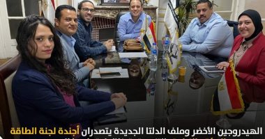 الهيدروجين الأخضر وملف الدلتا يتصدران أجندة لجان الطاقة والبيئة والزراعة بالتنسيقية