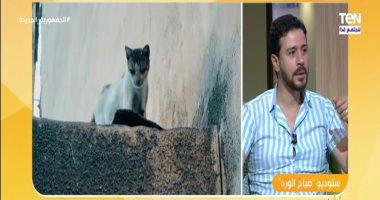 مذيع "فتحى شو" على تليفزيون اليوم السابع: نسعى لتقديم محتوى يحارب الإسفاف
