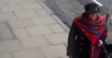 سيدة تستبدل الماسات بـ"حصى" لتسرق متجر مجوهرات فاخر فى لندن.. اعرف التفاصيل