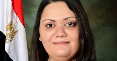 مارسيل سمير: تنسيقية شباب الأحزاب تستوعب جميع الآراء ولن تتحول لحزب سياسى