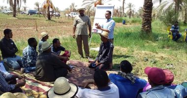 اعتماد أول مدرسة حقلية بمحافظة الوادى الجديد بدعم منظمة الفاو
