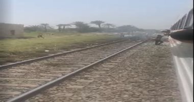 قراء يشاركون "صحافة المواطن" بصور لحريق قطار اسكندرية – أسوان بعد محطة الجيزة