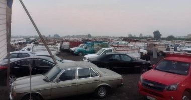 محافظ الشرقية: بدء العمل بسوق المواشى بمكانه الجديد بمركز ومدينة الزقازيق