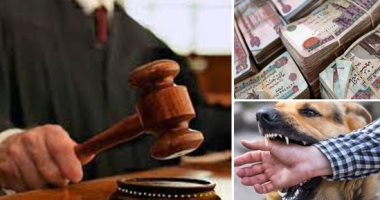 فريد من نوعه.. حكم نهائى بتغريم شخص 30 ألف جنيه بسبب "عضة كلب".. المحكمة تصدت لظاهرة استغلال "الكلاب" فى المشاجرات.. والتعويض نتيجة الضرر المادى والأدبى الذى أصاب المجنى عليه أمام صغاره من حزن وآلم وعجز