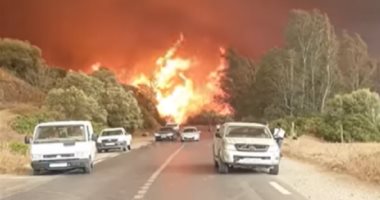 14 قتيلا حصيلة الحرائق فى الجزائر.. ووزير الداخلية: أياد مجرمة تقف وراءها